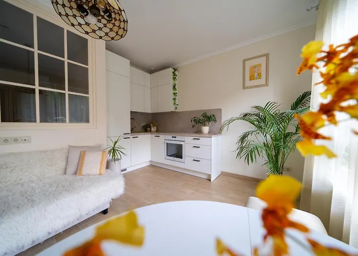 公寓 Cozy In Santariskes